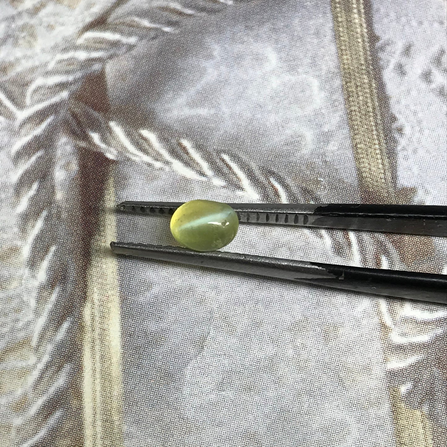Natural Cat's Eye Chrysoberyl 1 Carat 5.4x4 mm Oval Unmounted Loose Cabochon Yellow Green Honey Colored Real Rare Gemstone Flowing Gems