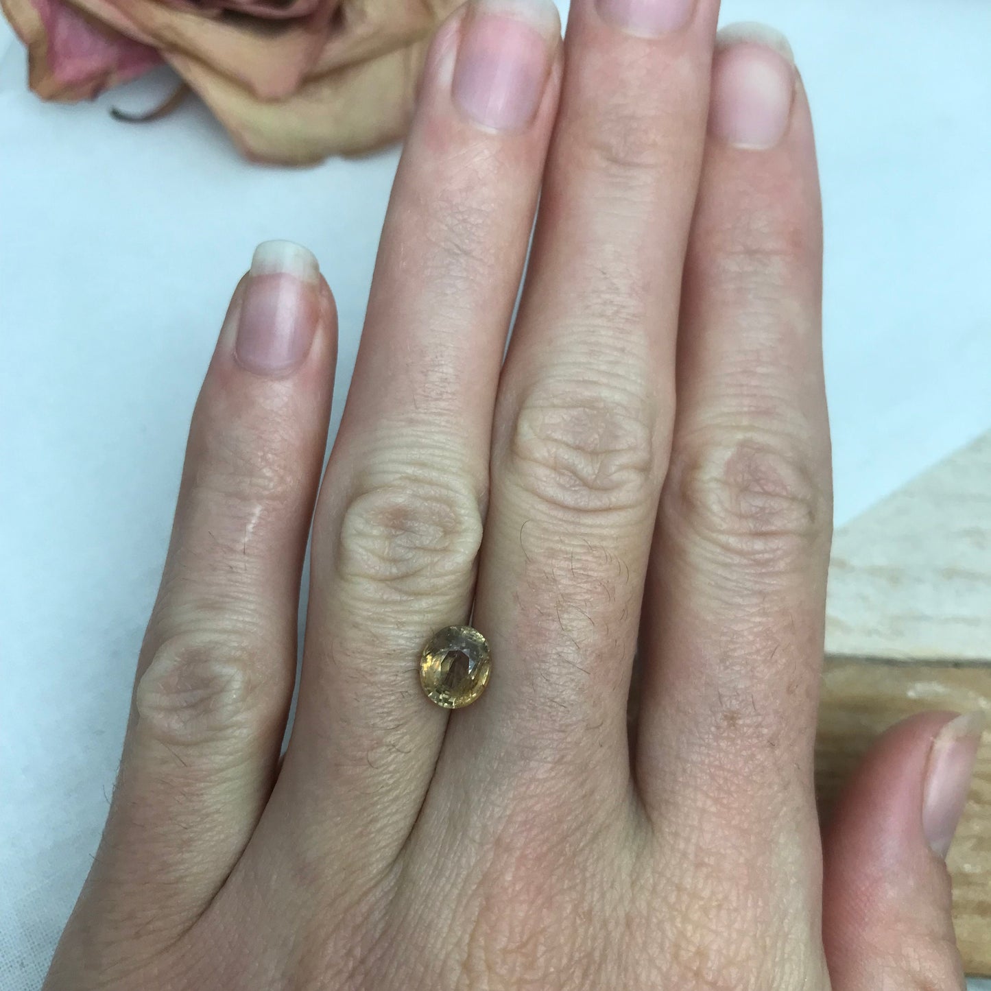 1.7 Carat Yellow Sapphire 7.4x6.4mm Oval Cut, Unheated Faceted Loose Natural Sapphire, Madagascar