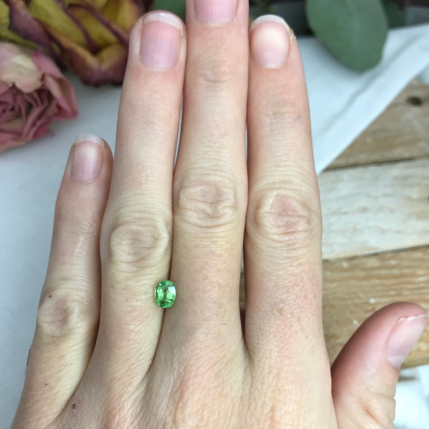1 carat Tsavorite Garnet 6x4.5mm Faceted Oval cut, Natural Loose Mint Green Garnet