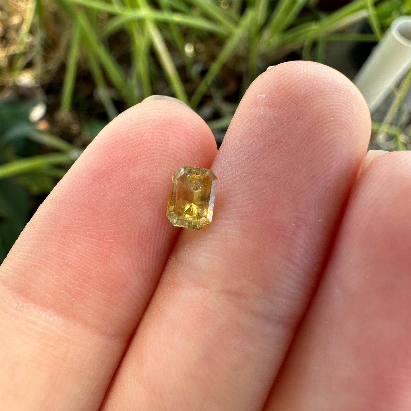 0.67 Carat Golden Yellow Montana Sapphire 5.7x4.3mm Radiant Cut, Faceted Loose Gemstone