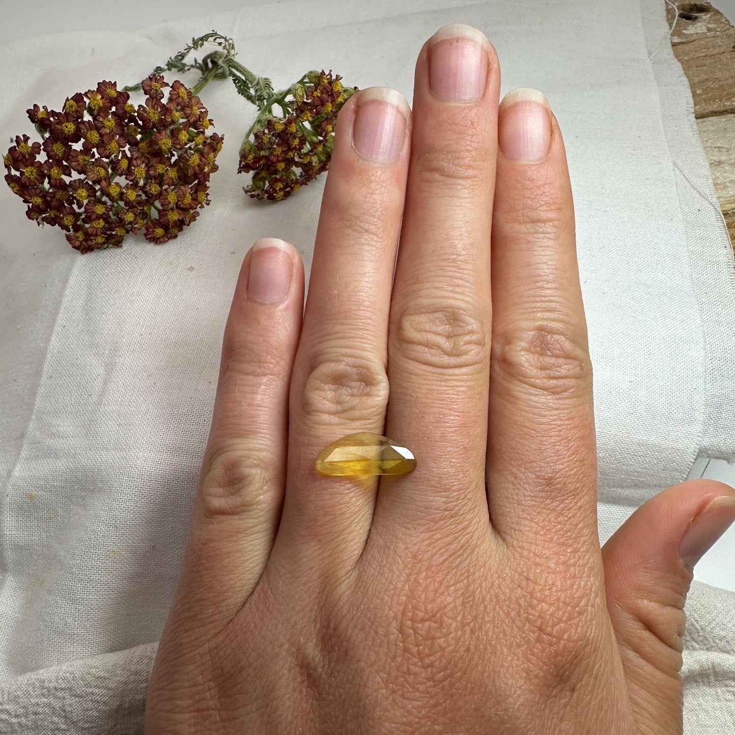 1.63 Carat Natural Yellow Sapphire, 16x6.7mm Rose Cut, BE Yellow Sapphire, Freeform, Beryllium Treated Sapphire