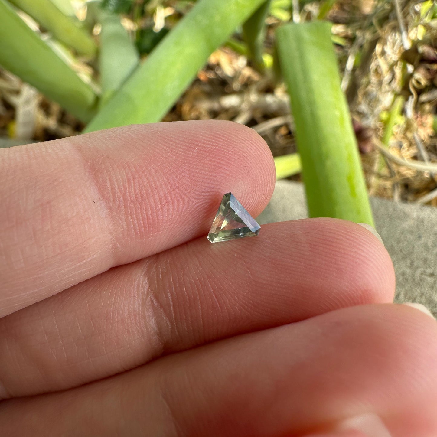 0.68 Carat Yellowish Green Montana Sapphire 5mm Triangle Cut, Natural Unheated Faceted Loose