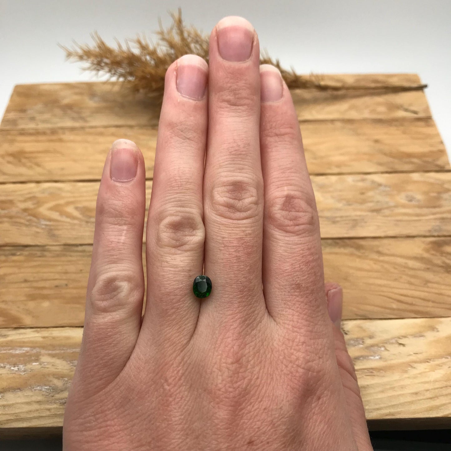 Green Diopside 1.08 carat, Oval Cut 6x5mm loose Gemstone Faceted Natural  Gem