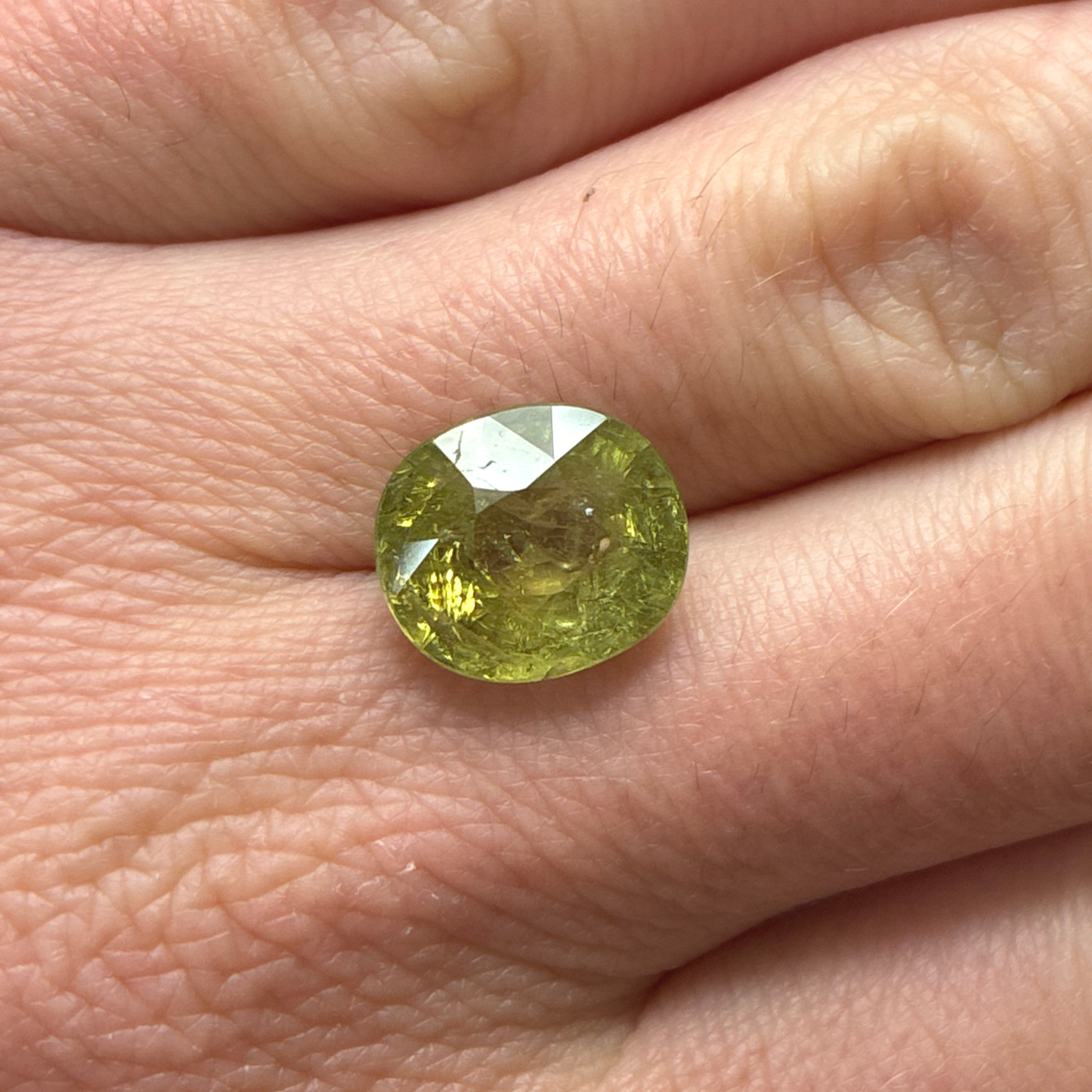 6.81 carat Green Grossular Garnet, 12x10.3mm