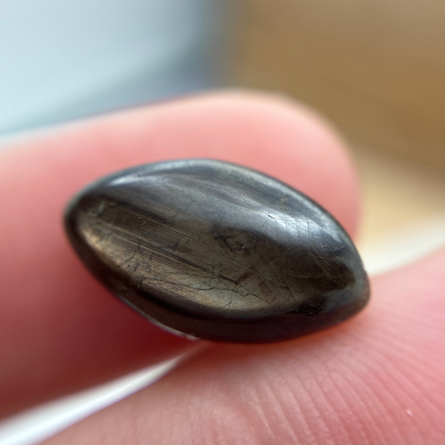6 carat Black Star Sapphire 15.3x8.6mm Marquise Cabochon