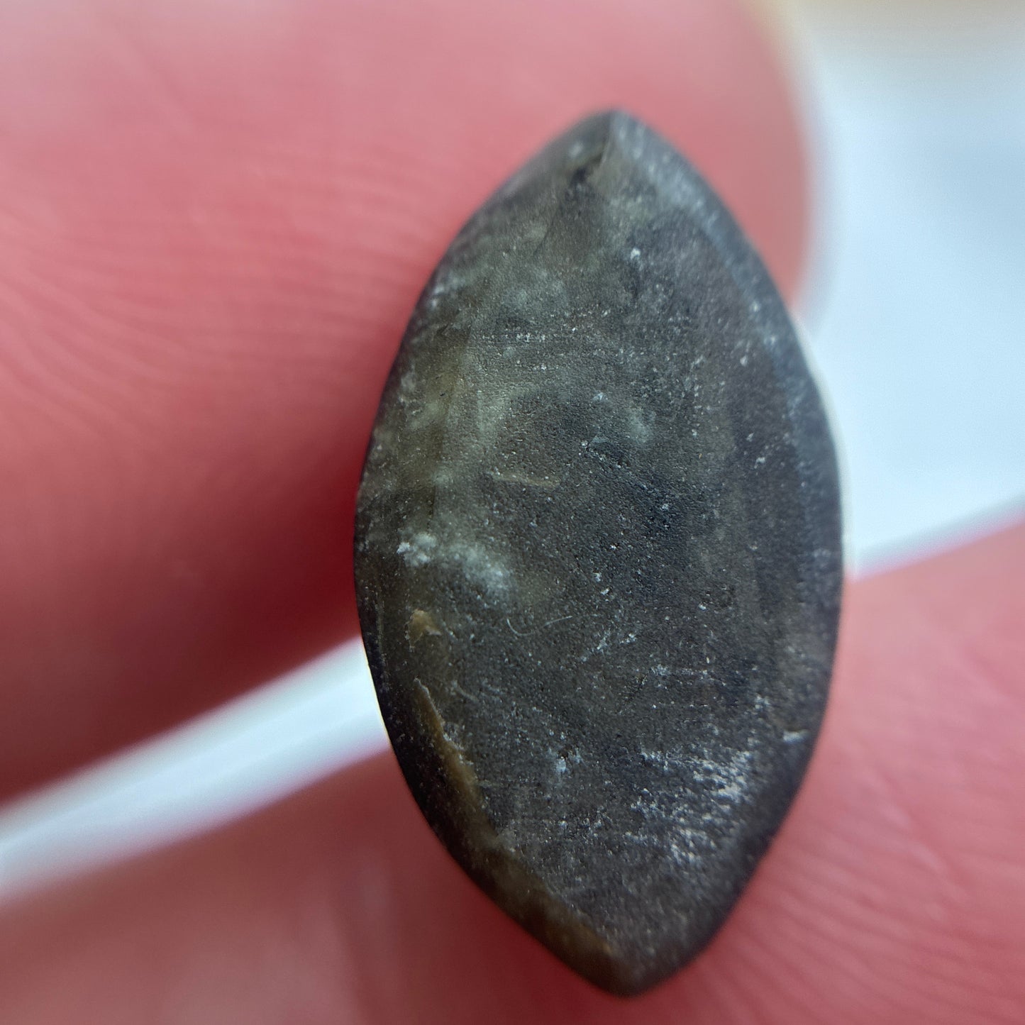 6 carat Black Star Sapphire 15.3x8.6mm Marquise Cabochon