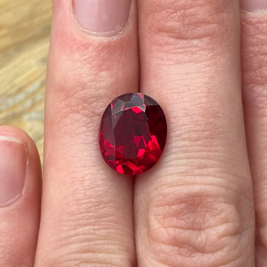 Lab ruby on a hand