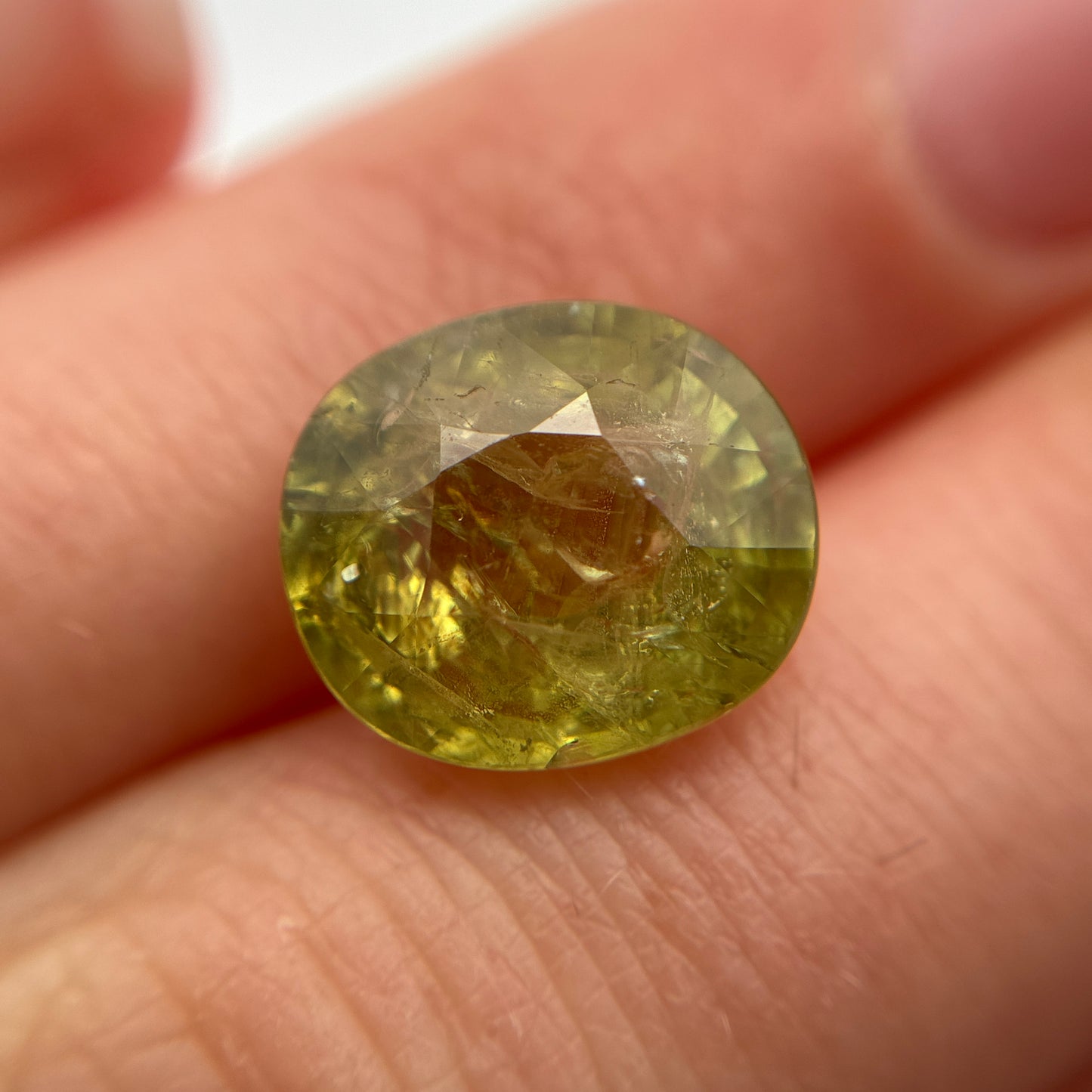 6.81 carat Green Grossular Garnet, 12x10.3mm
