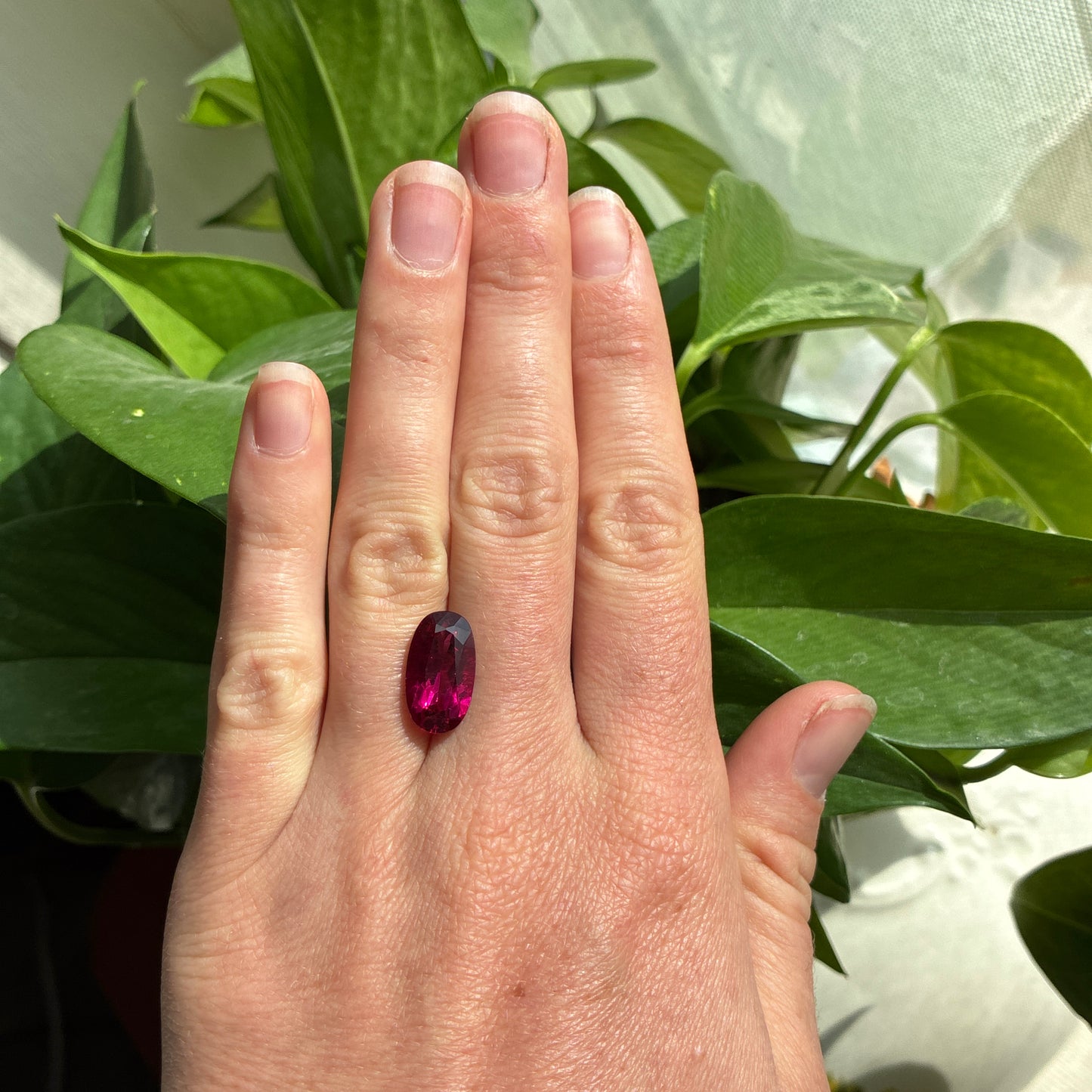 5.56 carat Rubellite Tourmaline 15.5x9mm