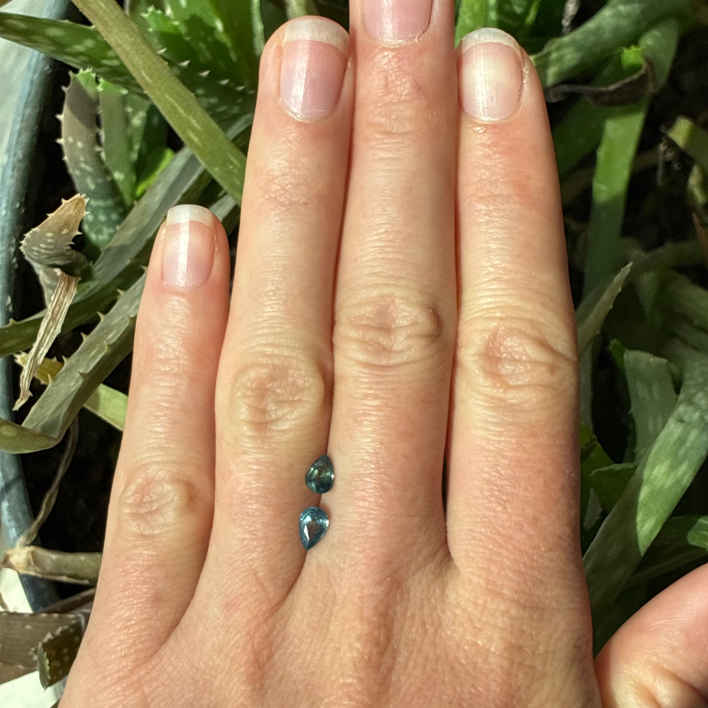 Pair of 6x4mm Teal Green Sapphires, 0.50 Ct ea.