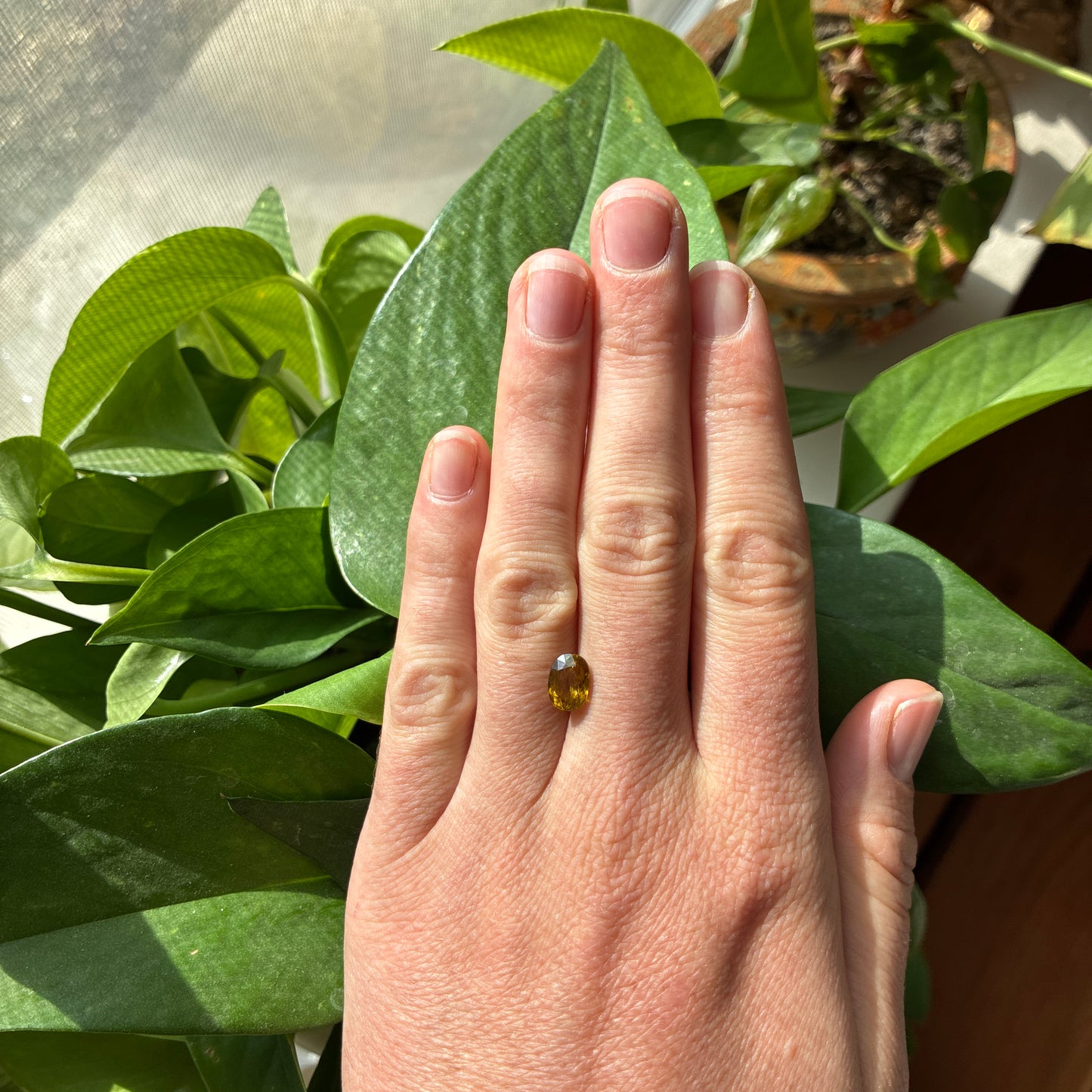 1.96 carat Yellow Sphene, 8.5x6.2mm Oval cut