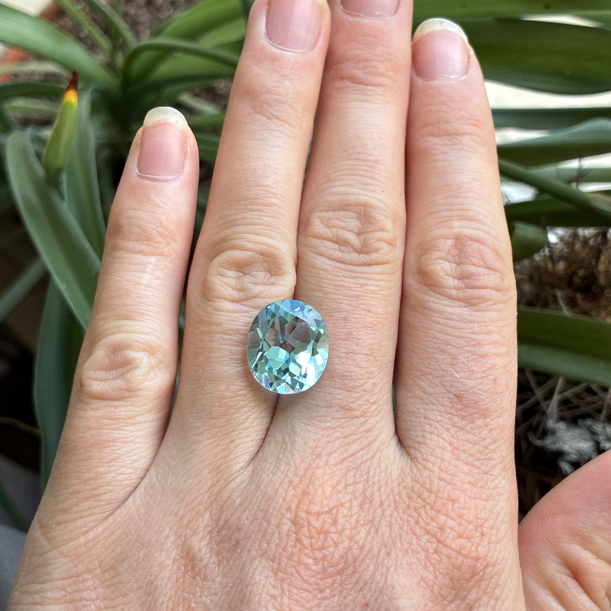 14x12mm Light Blue Topaz, 10 carat Loose Gemstone