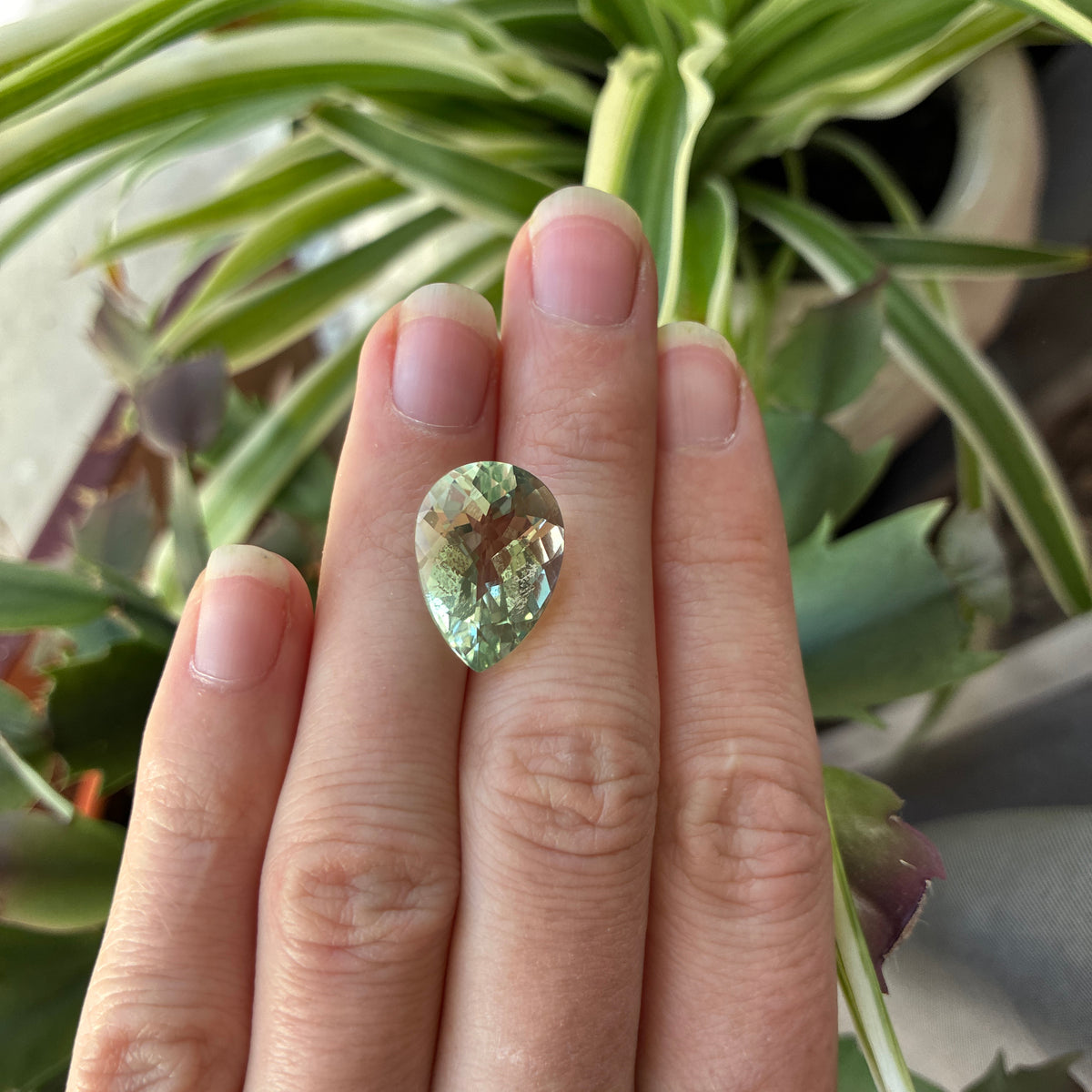 18x13mm Pear Cut Prasiolite, 9.90 carat Pale Green Quartz