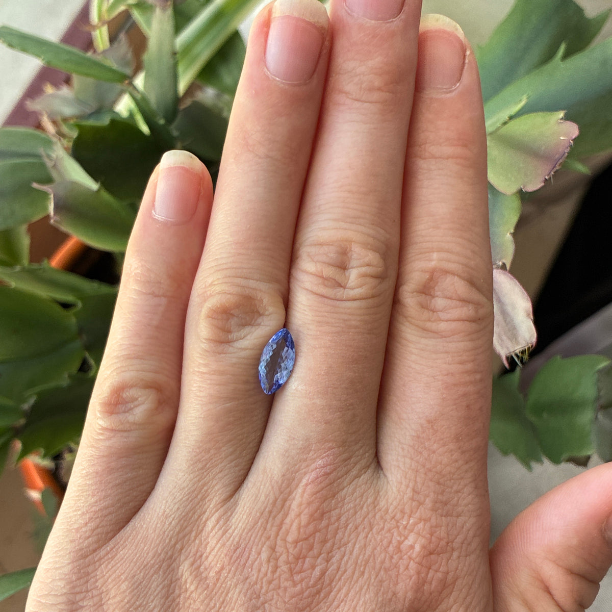1.27 carat Violet-Blue Tanzanite, 11x5.5mm Marquise Cut