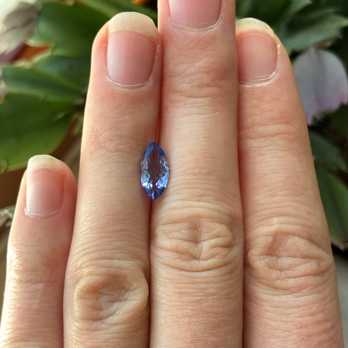 1.27 carat Violet-Blue Tanzanite, 11x5.5mm Marquise Cut