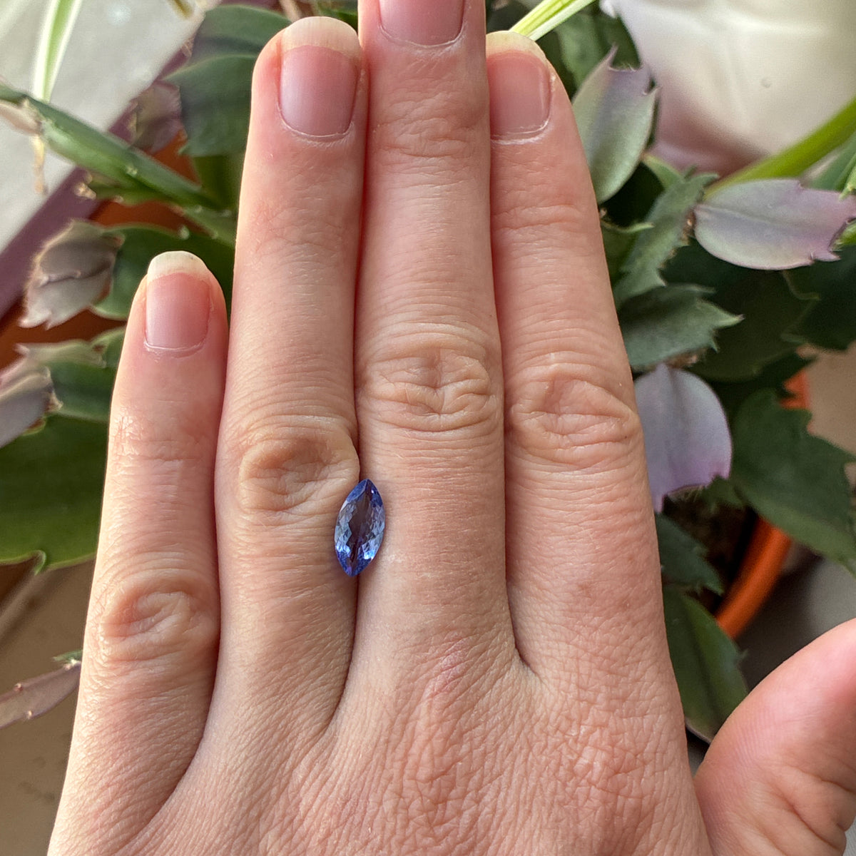 1.27 carat Violet-Blue Tanzanite, 11x5.5mm Marquise Cut