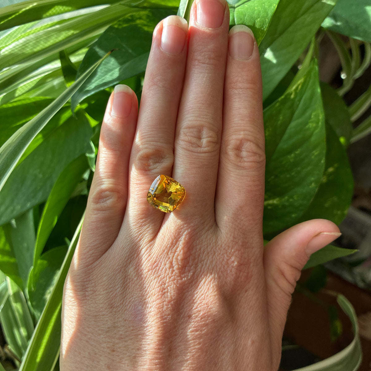 14mm Fancy Cut Golden Citrine 8.56 carat