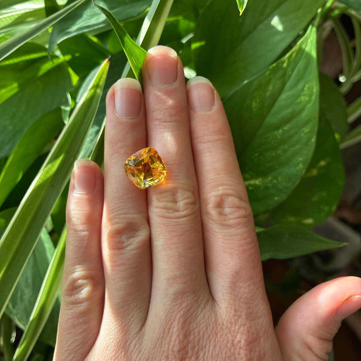 14mm Fancy Cut Golden Citrine 8.56 carat