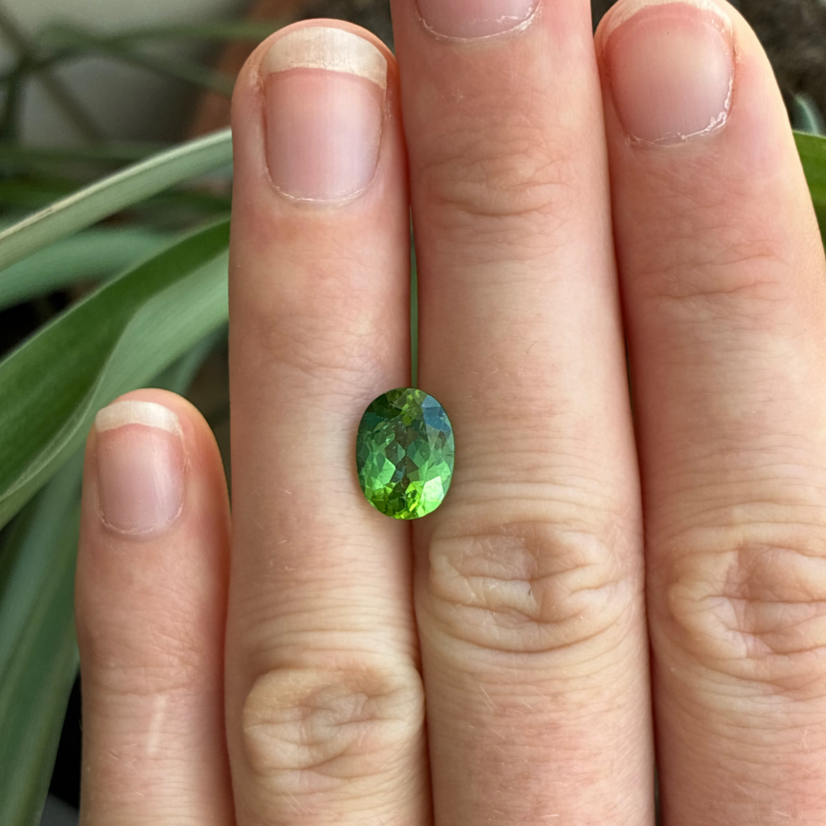 2.54 carat Green Tourmaline, 10x7.5mm Oval cut Recycled Gem