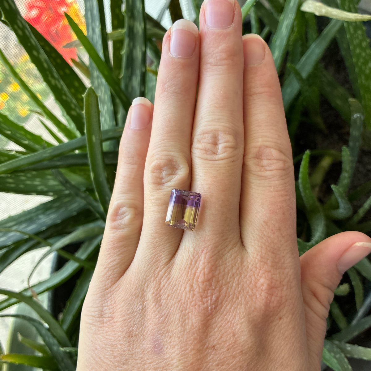 6.24 ct Ametrine, 12.3x10.1mm Emerald cut