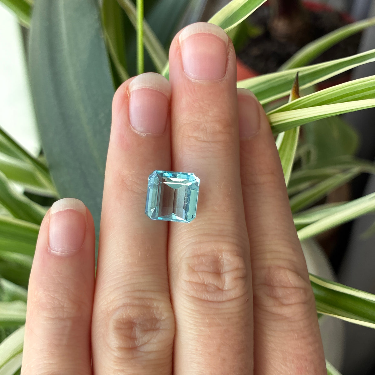 5.63 carat Aquamarine, Approx. 10.5mm Square