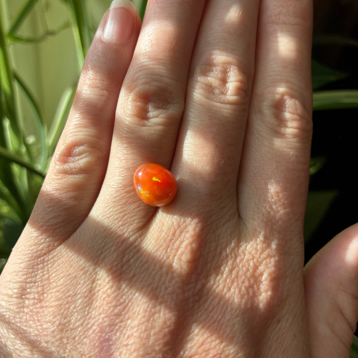 3.16 carat Orange Opal 10.8x9.2mm Oval Cabochon