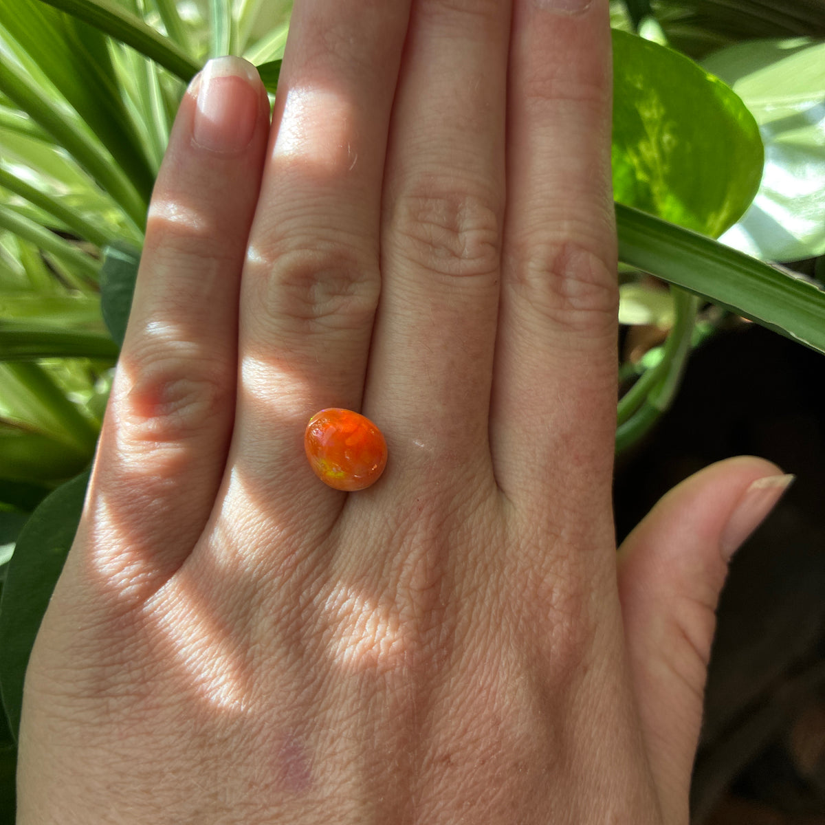3.16 carat Orange Opal 10.8x9.2mm Oval Cabochon