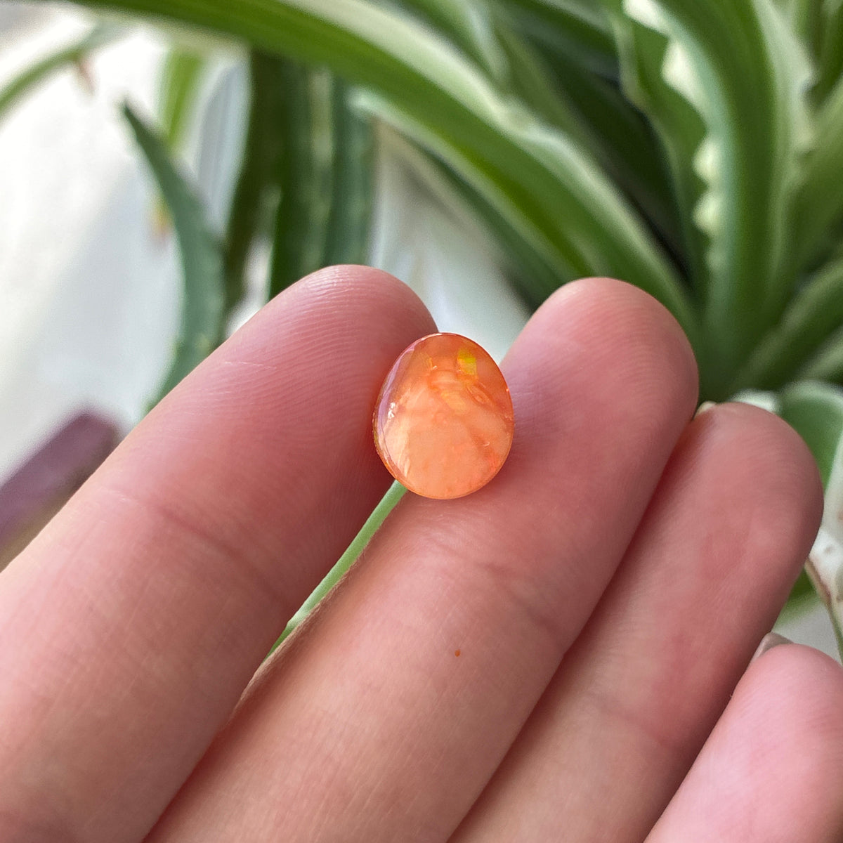 3.16 carat Orange Opal 10.8x9.2mm Oval Cabochon