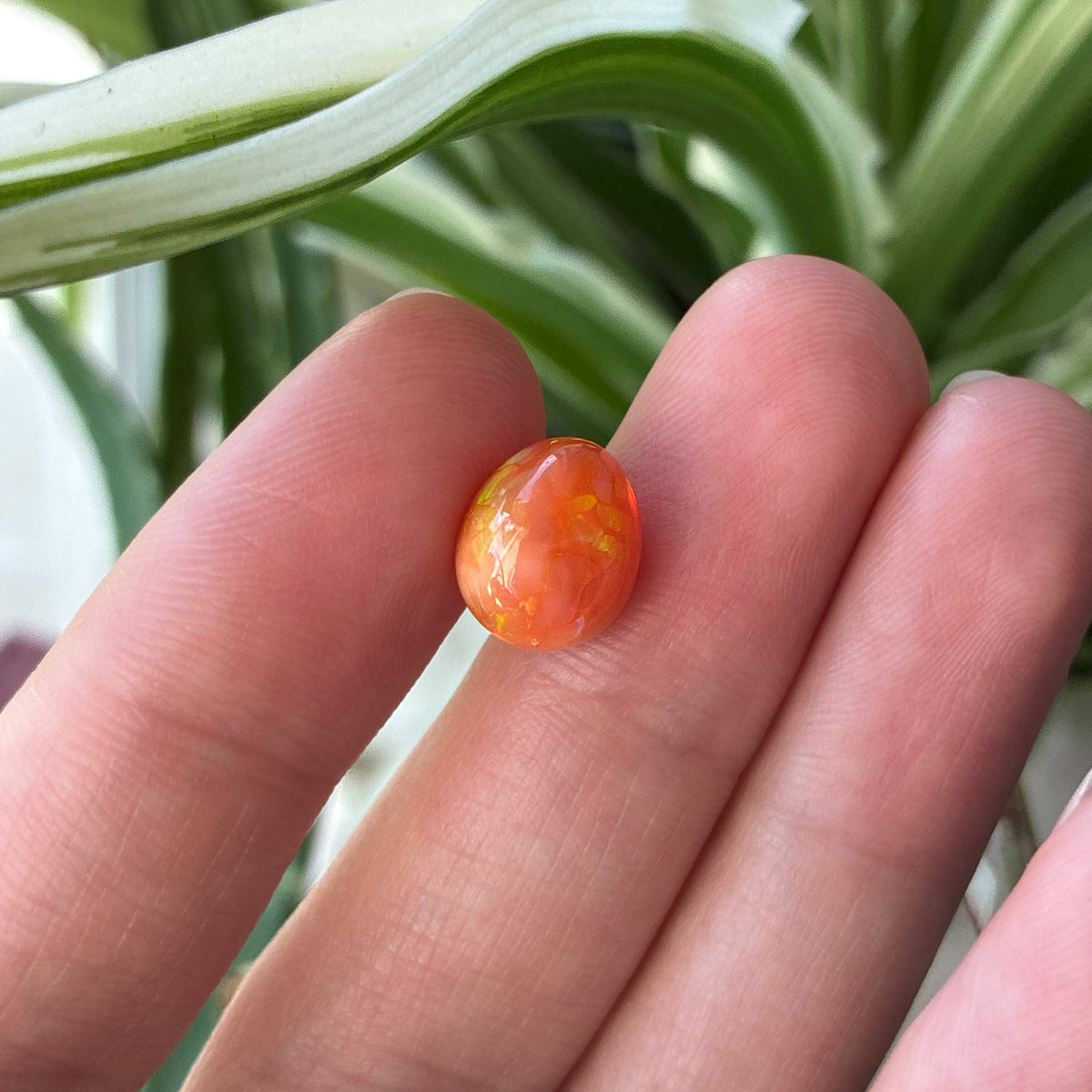 3.16 carat Orange Opal 10.8x9.2mm Oval Cabochon