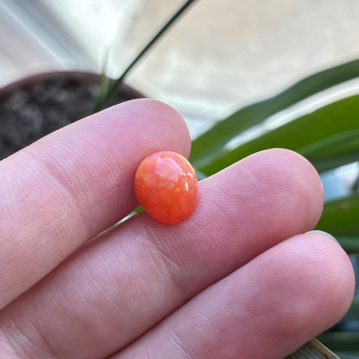 3.16 carat Orange Opal 10.8x9.2mm Oval Cabochon