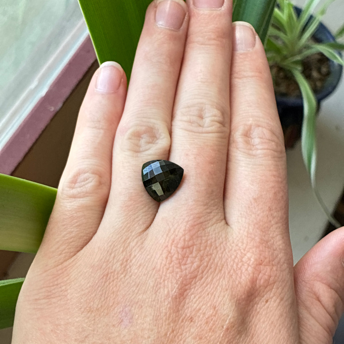 12mm Trillion Cut Dark Moldavite, 4.58 carat