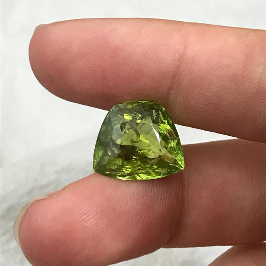 8.06 Carat Green Tourmaline 13.85x12.0mm Cushion Trapeze Cut, Faceted Loose Gemstone