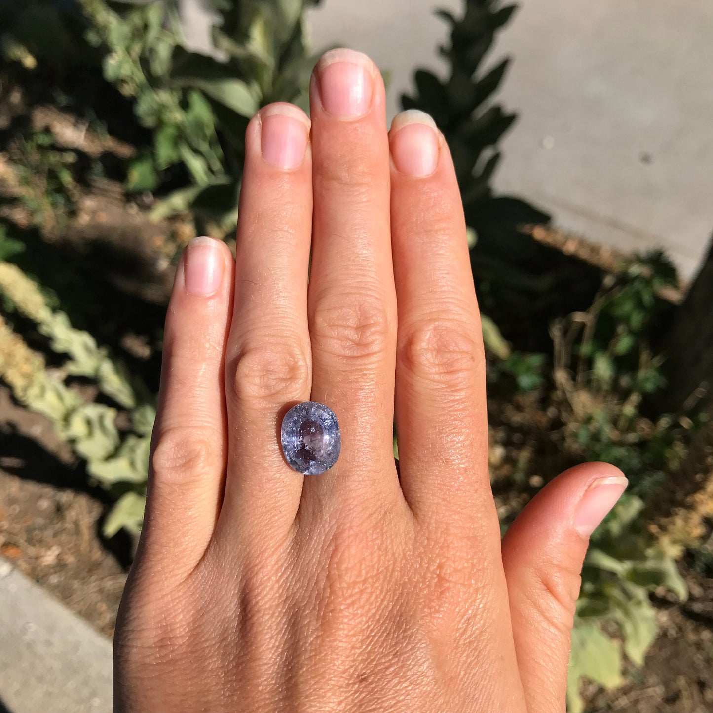 8.4 Carat Unheated Purple Blue Color Shift Sapphire 13.72x10.85mm Oval Cut, Faceted Loose Natural Tanzania Sapphire