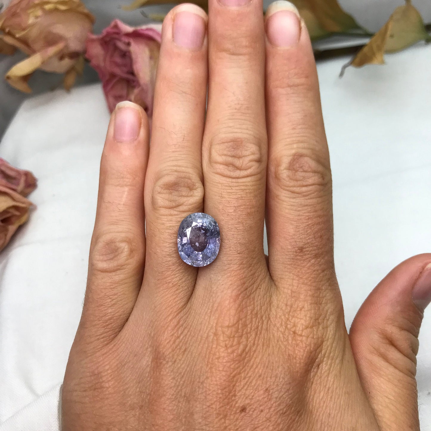 8.4 Carat Unheated Purple Blue Color Shift Sapphire 13.72x10.85mm Oval Cut, Faceted Loose Natural Tanzania Sapphire