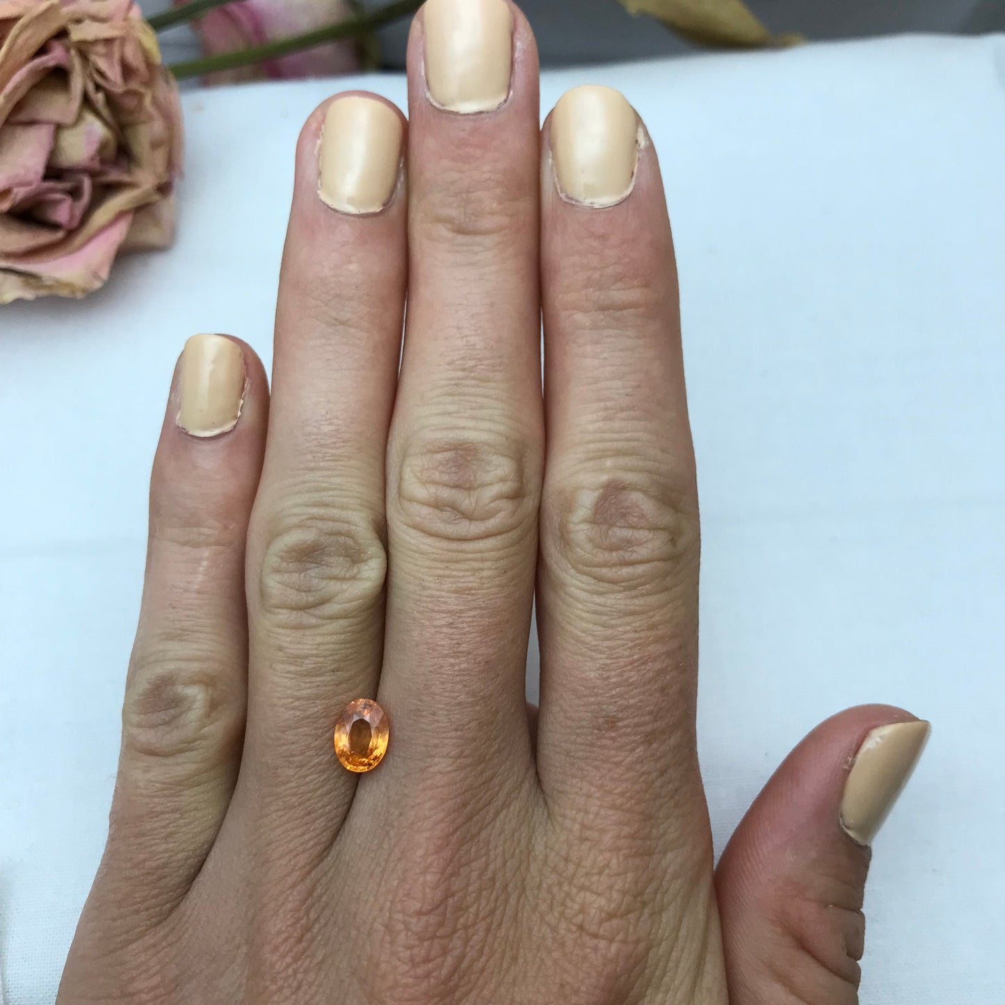 1.5 Carat Spessartite Garnet 7.6x5.7mm Oval Cut, Faceted Loose Orange  Fanta Garnet