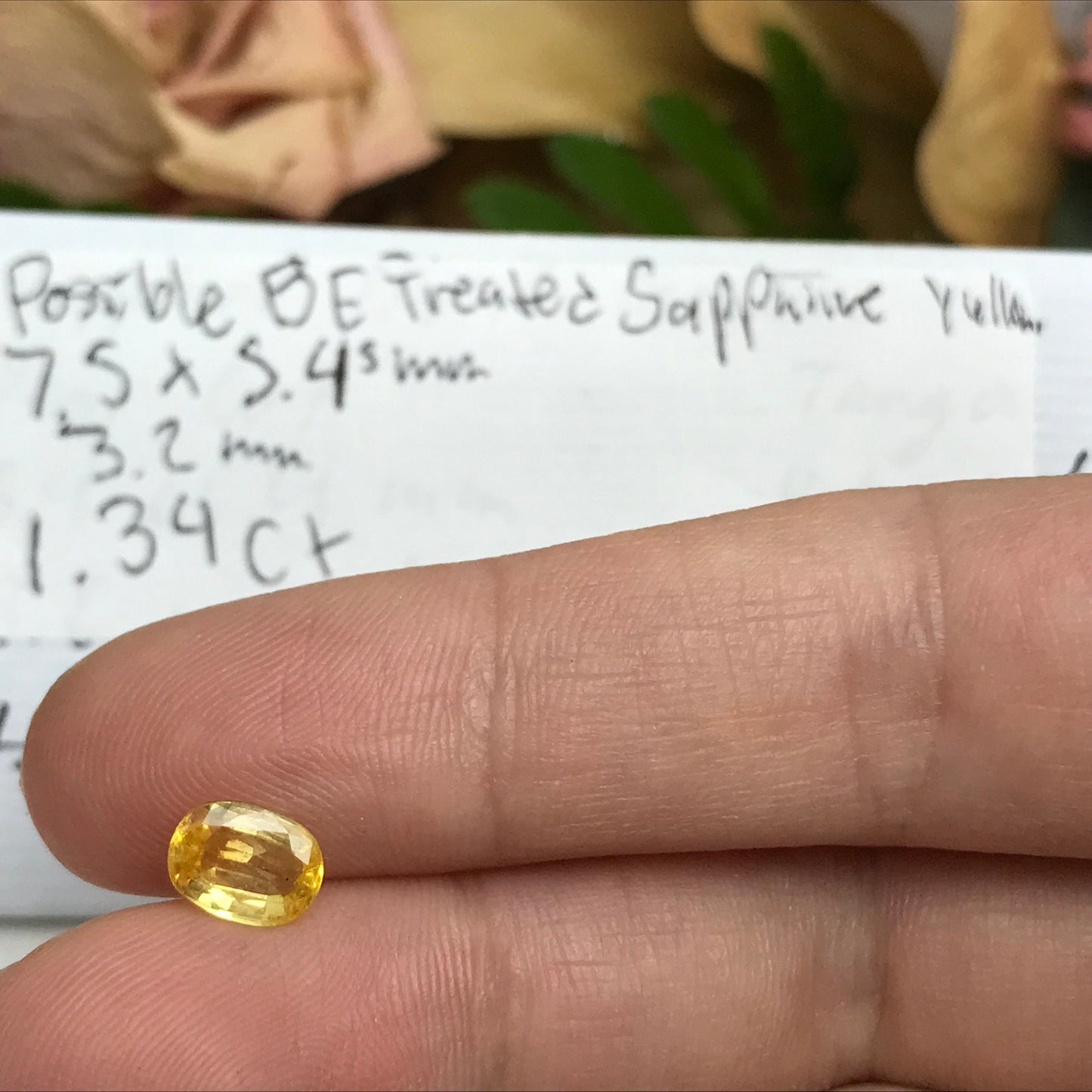 Natural Yellow Sapphire 1.34 Carat 7.5x5.5mm Oval Cut, Color Treated Gemstone, Earth Mined, BE Heat