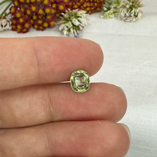 1.6 Carat Green Sapphire 7.35x6.4mm Cushion Cut, Unheated Faceted Loose Natural Sapphire, Madagascar