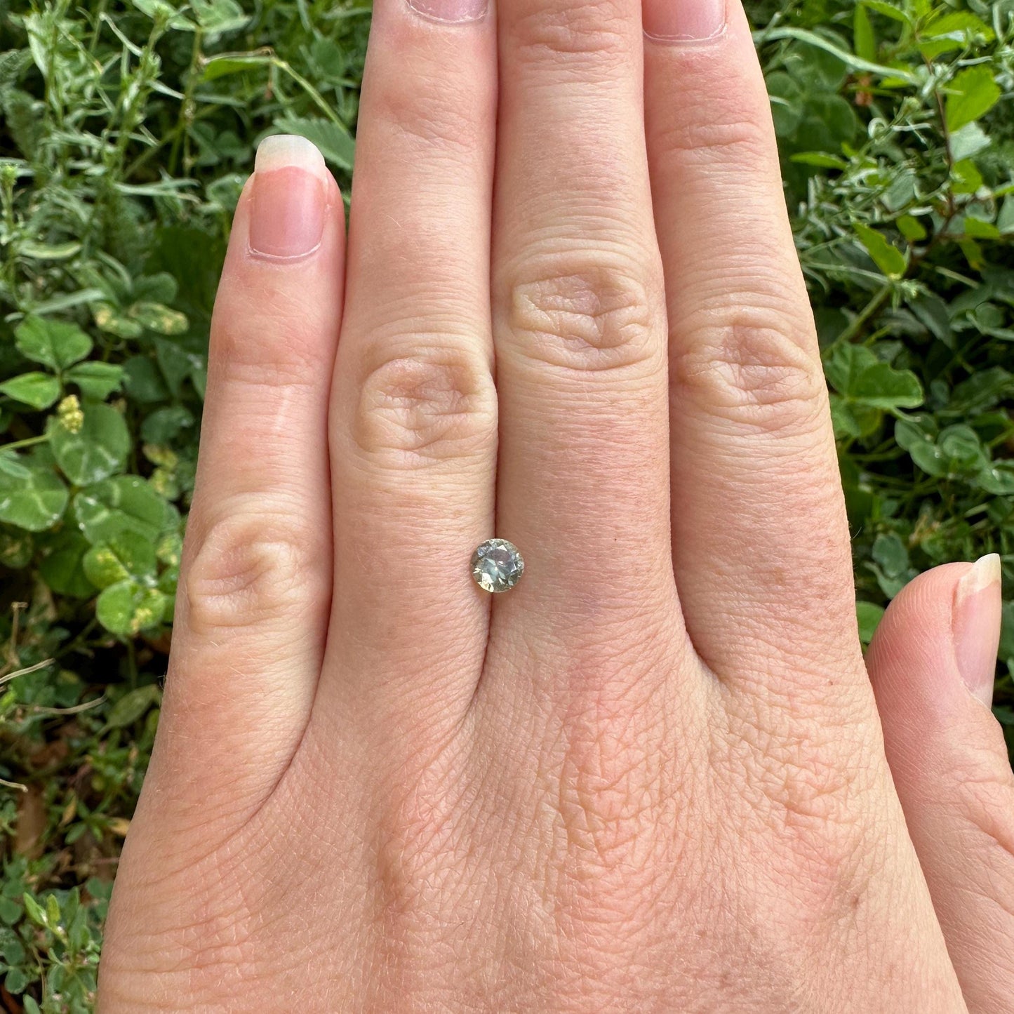 0.52 Carat Yellow Montana Sapphire 5mm Round Cut, Natural Unheated Faceted Loose