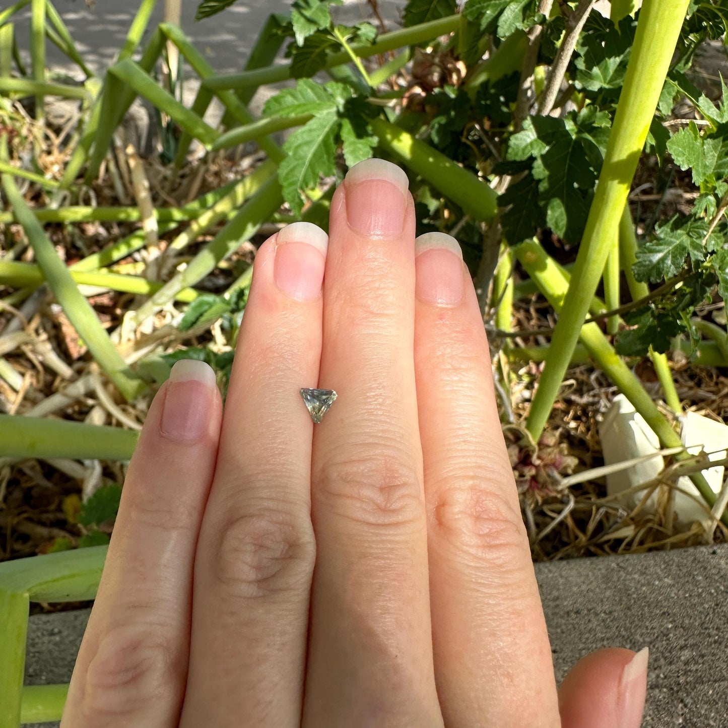 0.68 Carat Yellowish Green Montana Sapphire 5mm Triangle Cut, Natural Unheated Faceted Loose