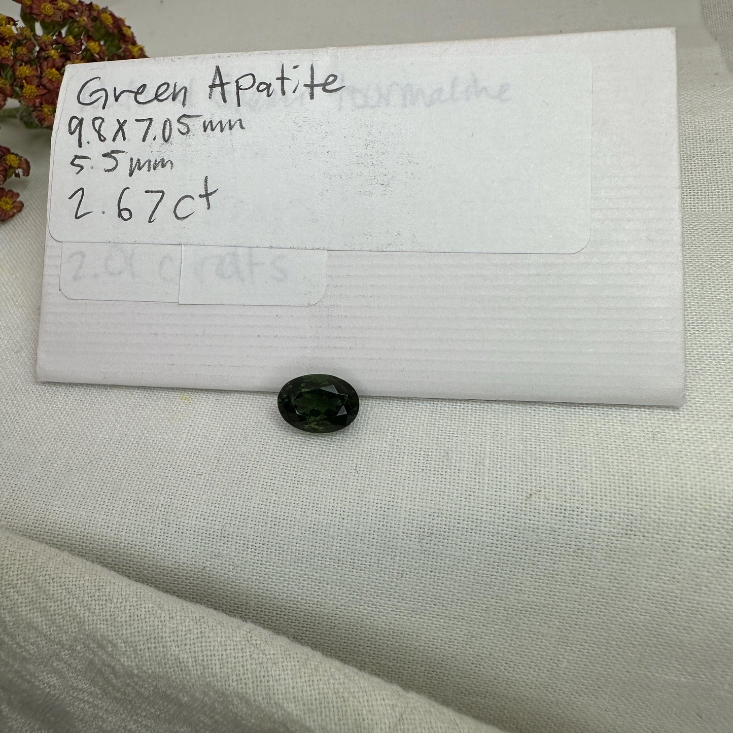 10x7mm Green Apatite 2.67 carat Oval Cut, Faceted Loose Gemstone,