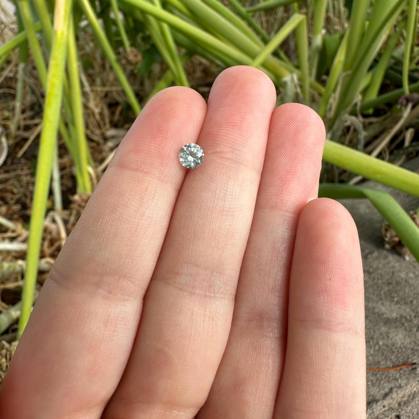 0.60 Carat Greenish Yellow Montana Sapphire 5mm Round Cut, Natural Unheated Faceted Loose