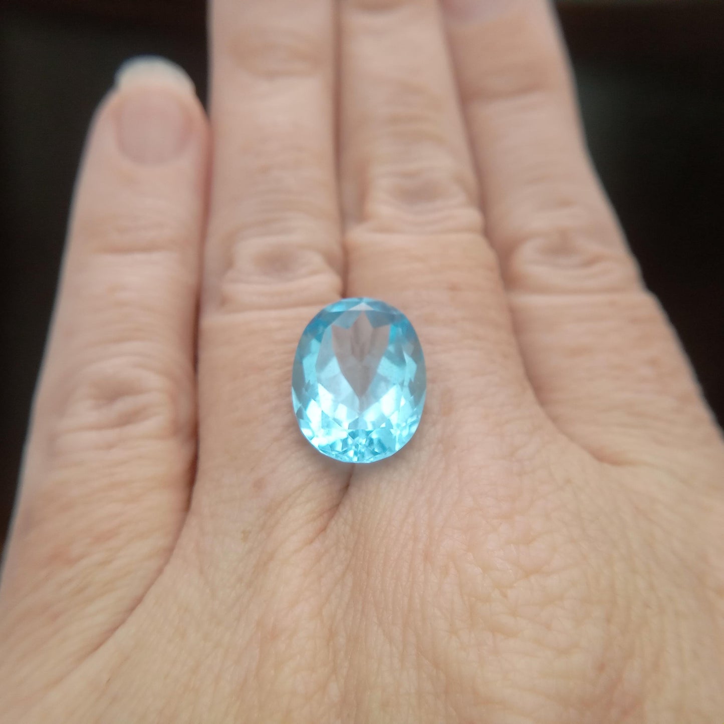 15.9x11.7mm Blue Topaz 11.63 carat Oval Cut Loose, Gemstone Blue Topaz, Faceted Blue Topaz, December Birthstone 16x12mm