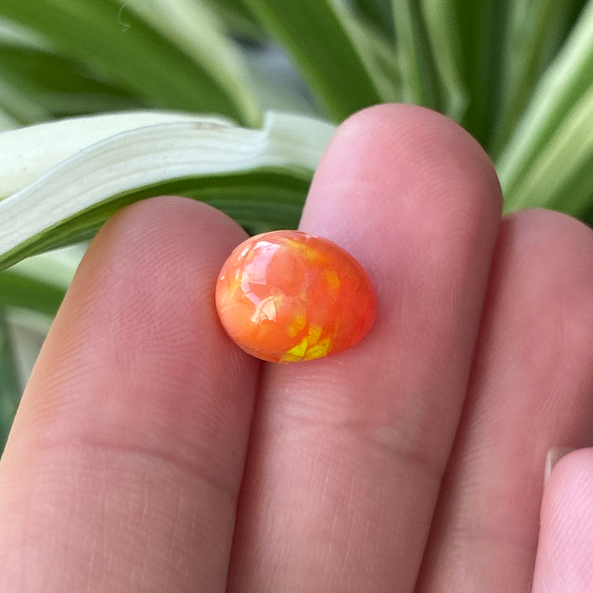 3.16 carat Orange Opal 10.8x9.2mm Oval Cabochon